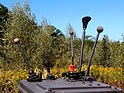 Image: Test drive with the Unimog - Unimog Museum