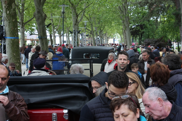 Viel Volk interessiert sich für den Concours - Balatonfüred Concours d’Elegance 2016