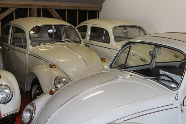 Viele VW Käfer in der Oldtimersammlung von Urs Weibel