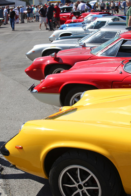 Image: Many colorful Lotus Europe in rank and file - British Car Meeting BCM in Mollis 2019