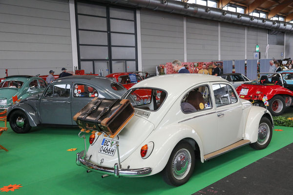 Viele, viele Käfer - Klassikwelt Bodensee 2024