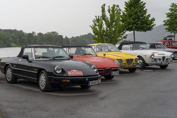 Vielfalt an Farben und Formen ist angesagt - Alfa Classic Wachau 2024
