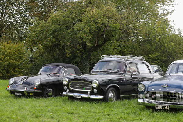 Vielfalt auf der Wiese - Porsche 356, Peugeot 403 und Opel Kapitän - FNA Jahrestreffen 2025