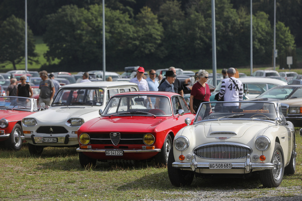 Vielfalt aus England, Italien und Frankreich, rechts ein Austin-Healey 3000 - 6. Lägern Classic 2023