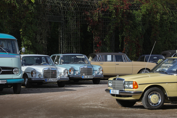 Vielfalt mit Stern - Mercedes-Benz-Fahrzeuge von Clubmitgliedern - 21. Classic-Gala Schwetzingen 2025
