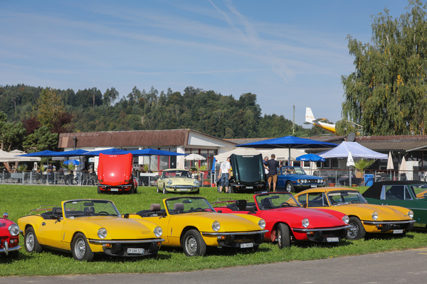 Four last-generation Triumph Spitfire - Fantastic Plastic and Triumph Day 2025