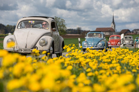 Bild Volkswagen 1100 (1952) – 75 Jahre VW in der Schweiz