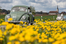 Volkswagen 1100 Export (1950) – 75 Jahre VW in der Schweiz