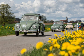 Volkswagen 1100 Export (1953) – 75 Jahre VW in der Schweiz