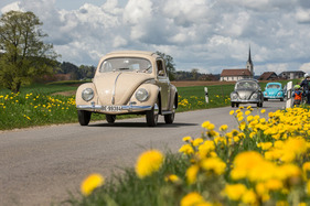 Volkswagen 1200 Export (1955) – 75 Jahre VW in der Schweiz