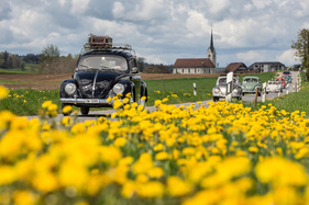 Volkswagen 1200 Export (1955) – 75 Jahre VW in der Schweiz