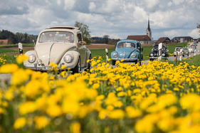 Volkswagen 1200 Export (1958) – 75 Jahre VW in der Schweiz