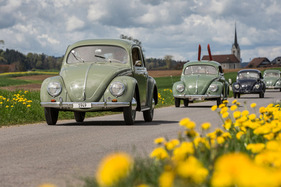 Volkswagen Export (1949) – 75 Jahre VW in der Schweiz