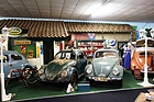 Artikelbild A guest in the Beetle universe - A visit to the Grundmann Collection