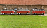 Bild: Volkswagen T1 Samba (1954) - Drei Mal T1, von links nach rechts stehhen die Jahrgänge 1965, 1962 und 1954