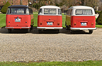 Bild: Volkswagen T1 Samba (1954) - Drei T1 zeigen ihren Hintern