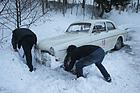 Volvo 122S (1965) - an der Aflenzer Winterclassic 2013
