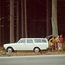 Volvo 145 (1970) - für die Familie mit Hund