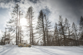 Volvo PV 544 1964 – Planai-Classic 2025 (1964)