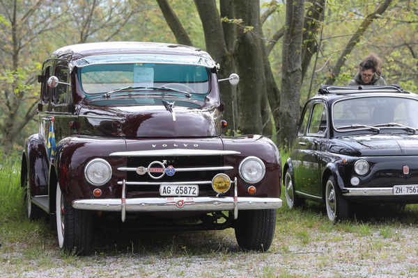 Volvo PV 831 (1954) - ziemlich gross im Vergleich zum Fiat 500 - Albisgütli Classic Cars & Bikes April 2023