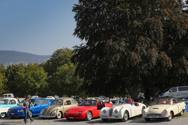 Bild: Vom DKW im Thunderbird-Look bis zum fast modernen MG - für alle etwas – Albisgütli Classic Cars & Bikes Oktober 2023