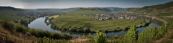 WRC Classic Rallye Deutschland 2010: Panorama von Trittenheim an der Mosel, Rheinland-Pfalz