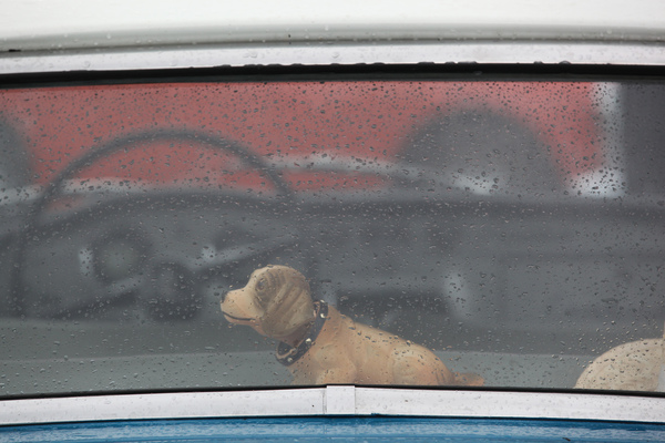 Wackel-Dackel im Austin - OSMT Zug im September 2017