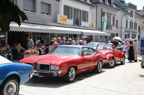 Bild Wald Rollt 2025