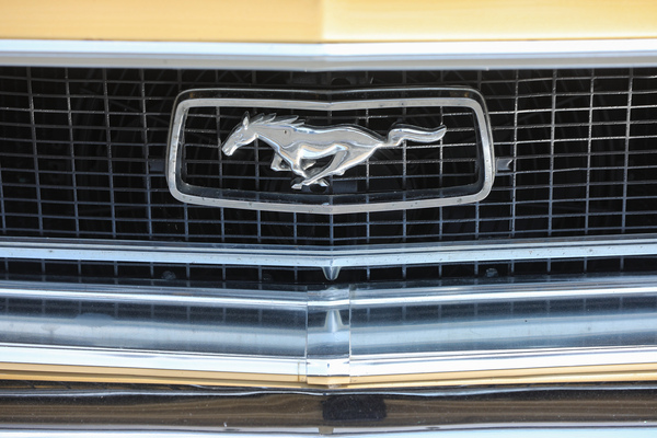 Warum galoppiert der Mustang eigentlich nach links? Weil die meisten Kinder ihn so malen würden - 8. Mustang & Shelby Meeting 2024