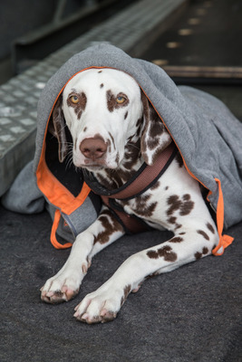 Was macht man bei diesem Hundswetter mit einem Porsche 956 in genau diesem Kaff?