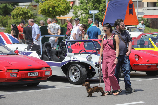 Welcher Wagen wohl dem Waldi am besten gefällt? - Fantastic Plastic in Rickenbach 2023