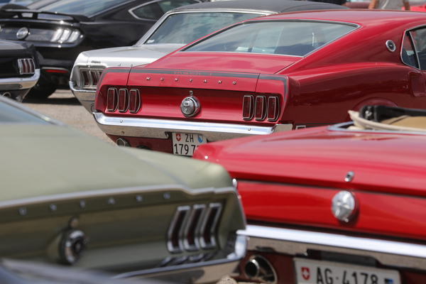 Welches Fastback ist das schönste? Das Flächige '69er oder das verspielte '68er? - 8. Mustang & Shelby Meeting 2024