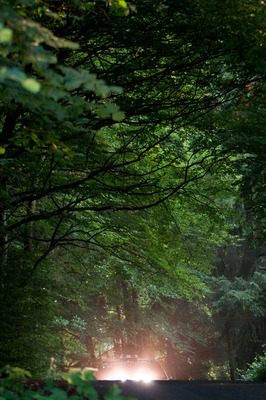 When the Toyota Corolla WRC crosses the forest with its rally lights, it creates a very special atmosphere! - Eifel Rallye Festival 2013