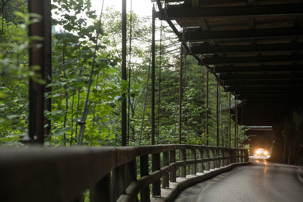 Wer kommt denn da angeflogen?