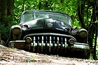Wie ein Wachhund - Buick Super - Autoskulpturenpark Neandertal