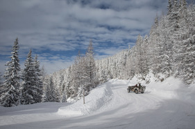 Willys Jeep MB (1944) - Planai-Classic 2017