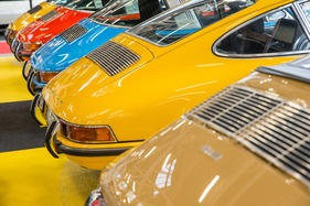 Wunderbar farbenfroh sind nicht nur die Bäume im Herbst.