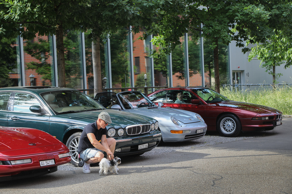 Youngtimer meeting Mall of Switzerland - which car does this dog go with? - Swiss Classic World Lucerne 2023