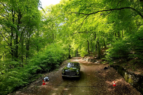 Image: Time control in the forest - impressions of the 1000 Miglia WarmUp 2023