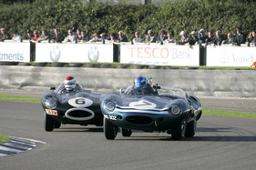 Zum 60-jährigen Jubiläum des Jaguar D-Type wird es beim Goodwood Revival 2014 ein spezielles D-Type Rennen geben