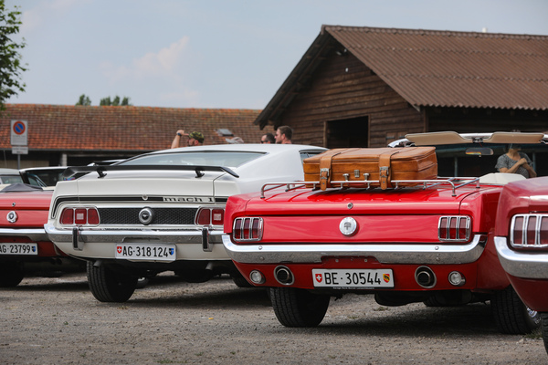 Zwei sorten der Heckverschönerung: Flügel und Gepäckträger - 8. Mustang & Shelby Meeting 2024