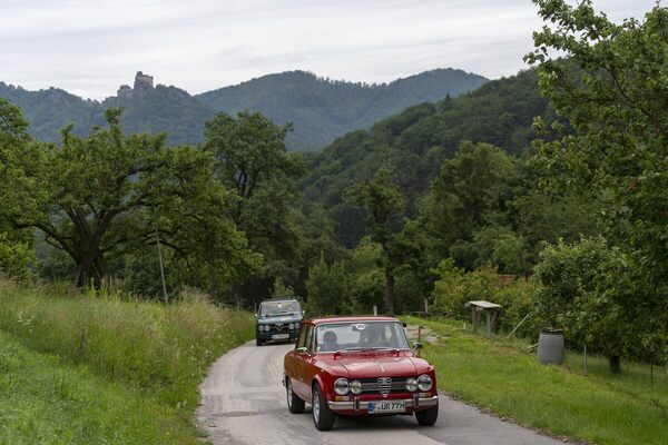 Zweimal Alfa Romeo Giulia auf Kurvenfahrt - Alfa Classic Wachau 2024