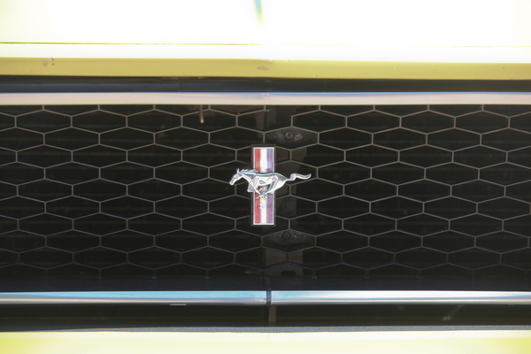 … auch wenn die Wildpferde immer kleiner wurde und die Autos grösser.