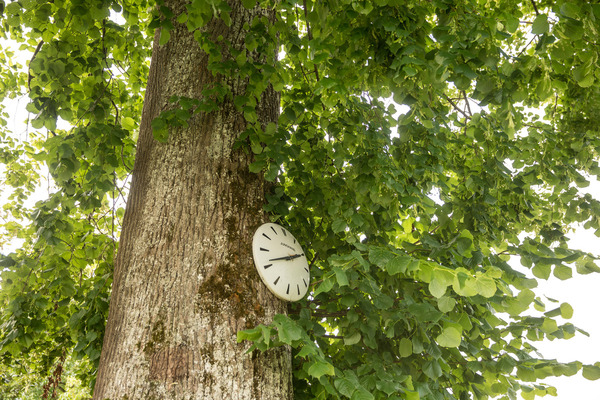 … bei der plötzlichen Ungenauigkeit liess so manch einer seinem Ärger freien Lauf.