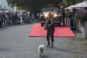 … bis sie schlussendlich schnell wieder nach Hause gezogen wurden.