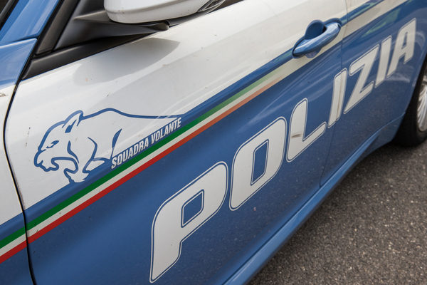 … der Löwe doch lieber im kühlen Schatten ruhte.