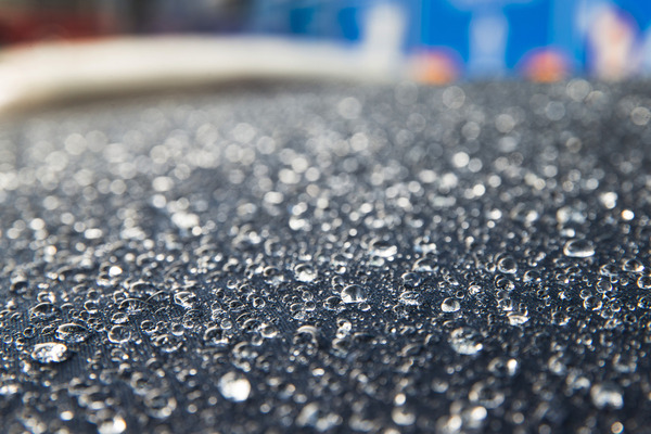 … die Wassertropfen perlten wunderschön auf ihren Körpern und …