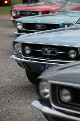 die frühen Kühlergrill-Varianten - Mustang & Shelby Meeting 2017 in Zug
