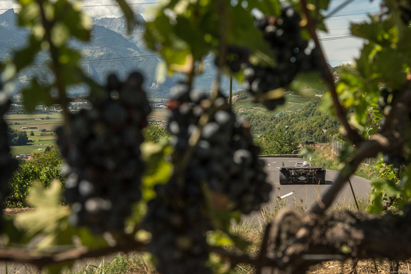 … doch jetzt lassen wir in Ruhe die Weintrauben weiter reifen.