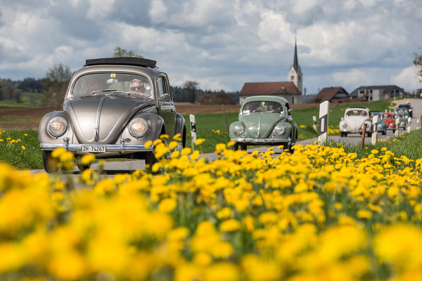 … durch das Gekrabbel von ihrer Arbeit abhalten.